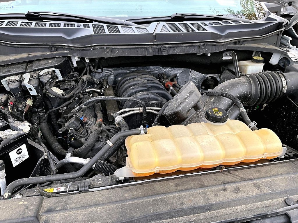 Used 2021 White Ford XLT image 28