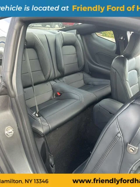 New 2026 Carbonized Gray Metallic Ford EcoBoost® Premium Fastback image 33