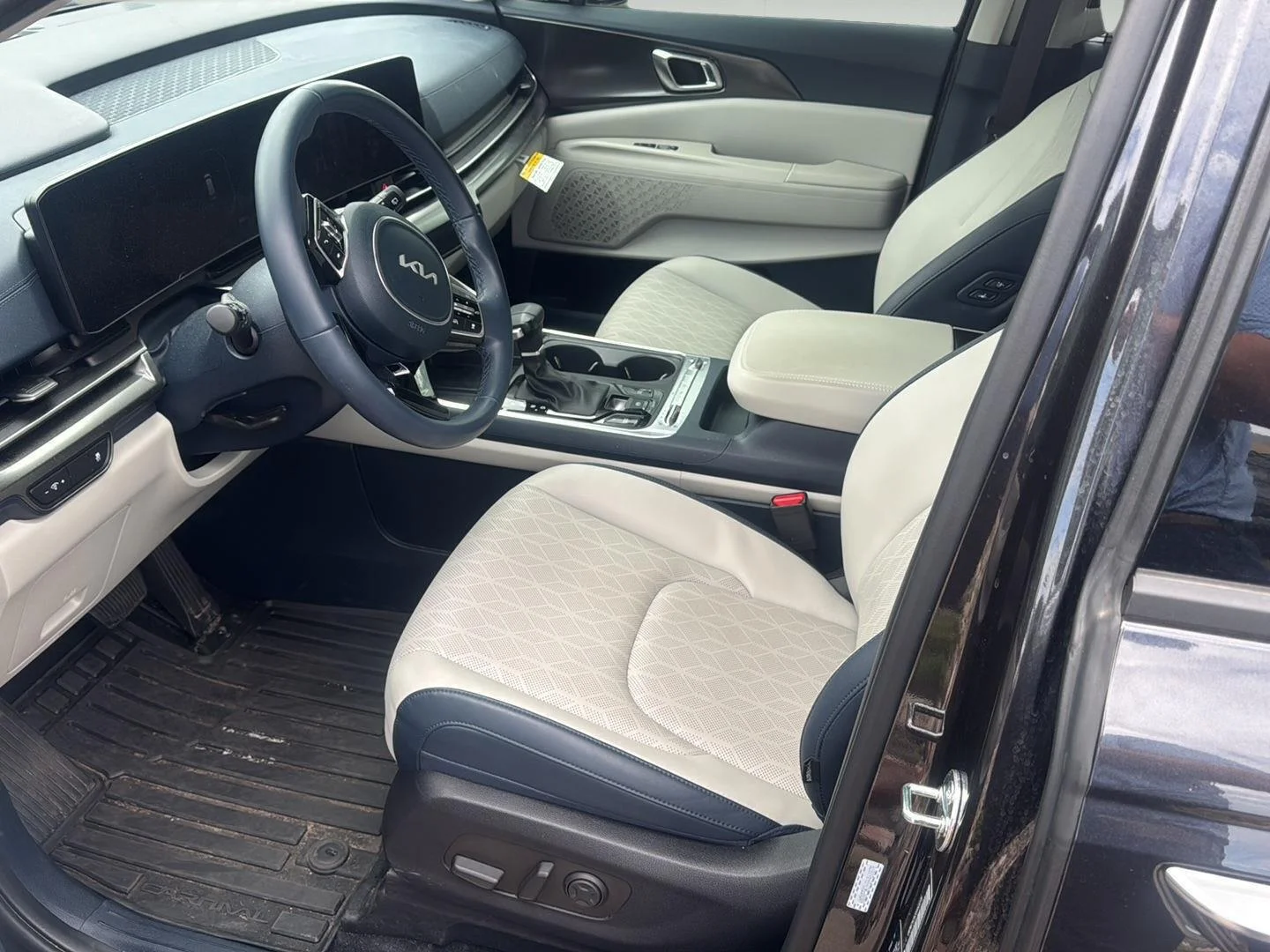 Used 2025 Panthera Metal Kia SX image 8