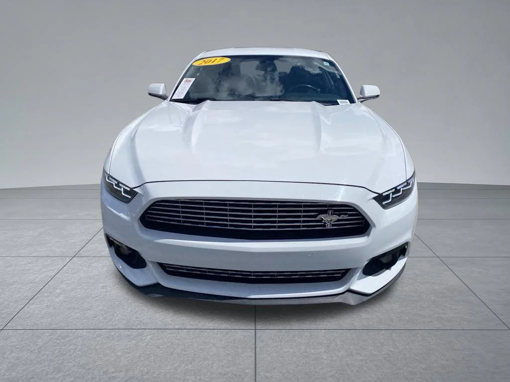 Used 2017 White Ford EcoBoost Premium image 13