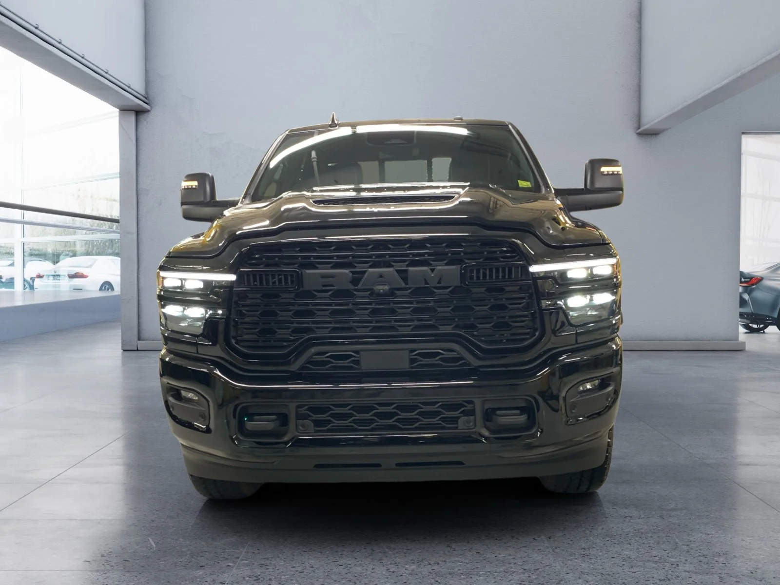 New 2026 Diamond Black Crystal Pearl Ram Limited image 8