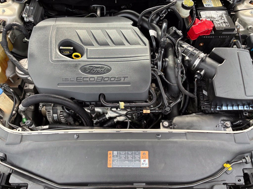 Used 2018 Gold Ford SE image 29