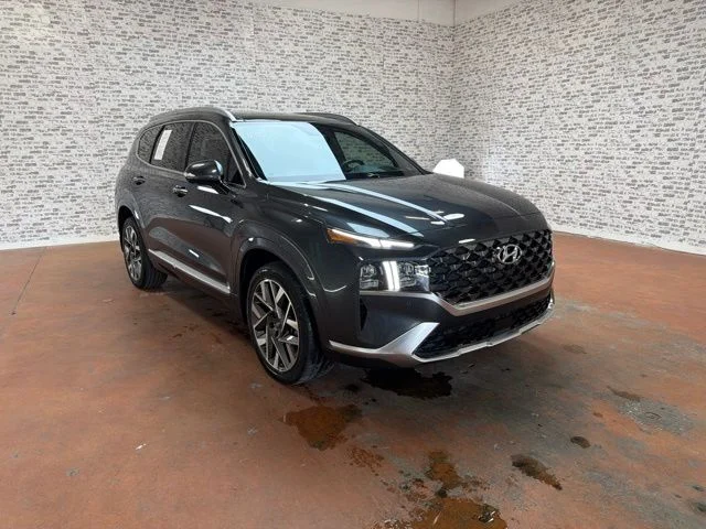 Used 2023 Portofino Gray Hyundai Calligraphy image 1