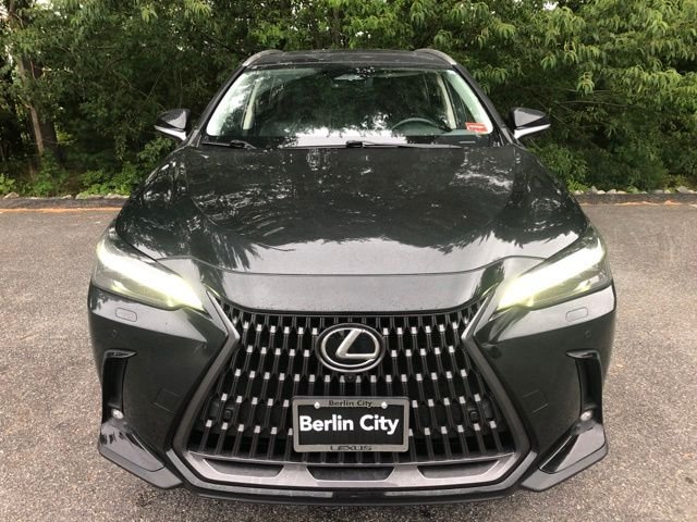 Used 2022 Caviar Lexus 450h+ Luxury image 9