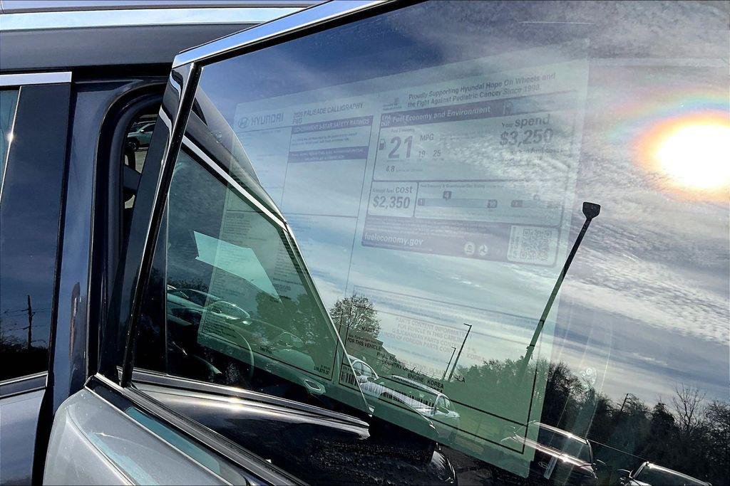 New 2026 Ecotronic Gray Pearl Hyundai Calligraphy image 16