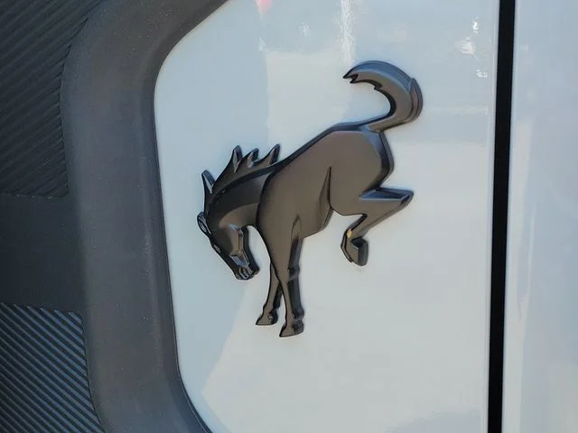 New 2026 Avalanche Gray Ford Raptor image 9