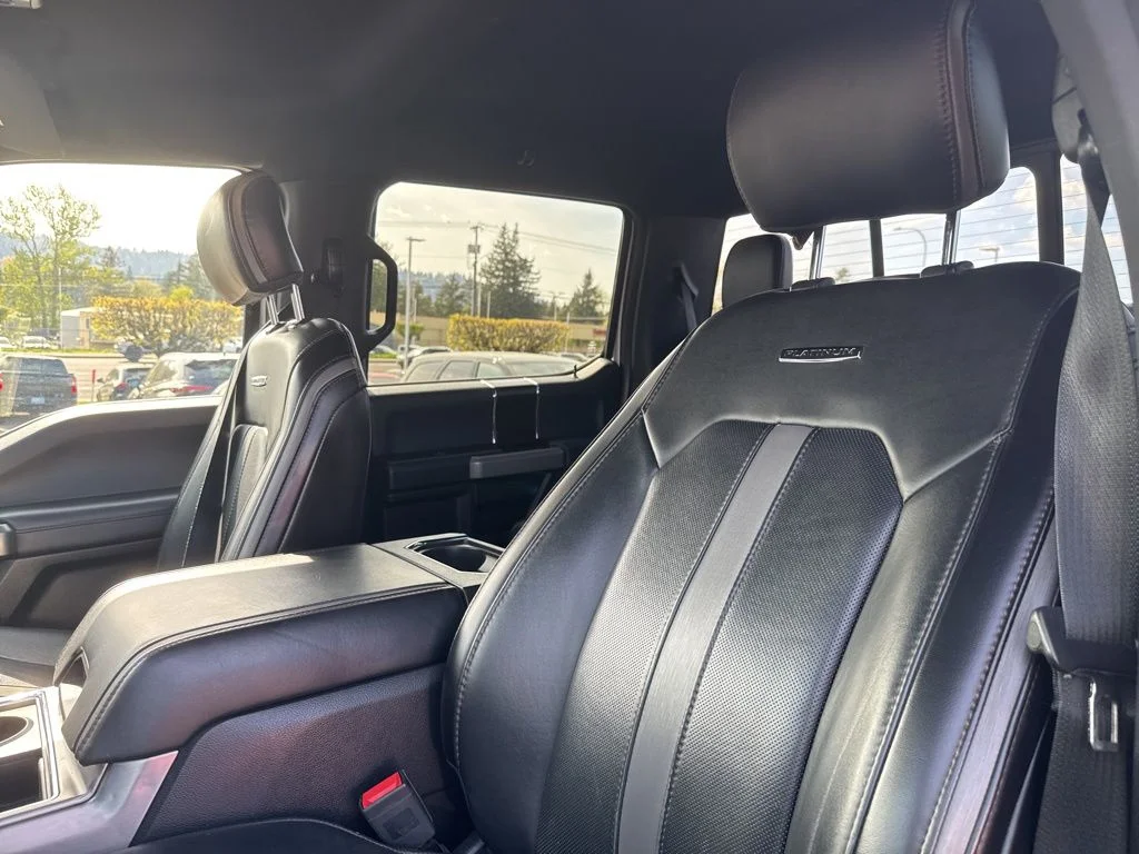Used 2019 Ingot Silver Ford Platinum image 15