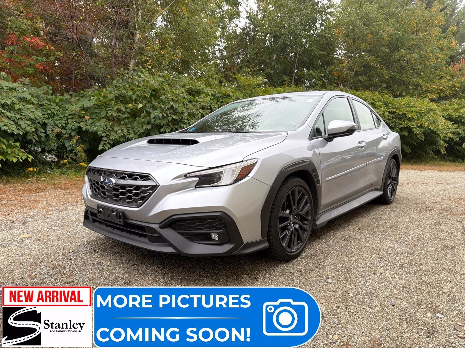 2024 Subaru WRX