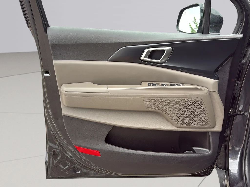 Used 2025 Panthera Metal Kia LXS image 25