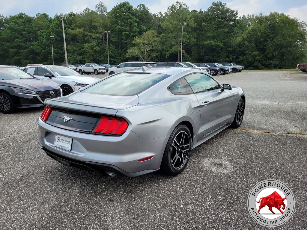 Used 2023 Silver Ford EcoBoost Premium image 5
