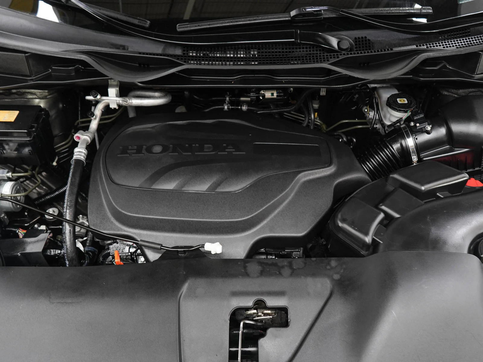 Used 2020  Honda EX-L image 31