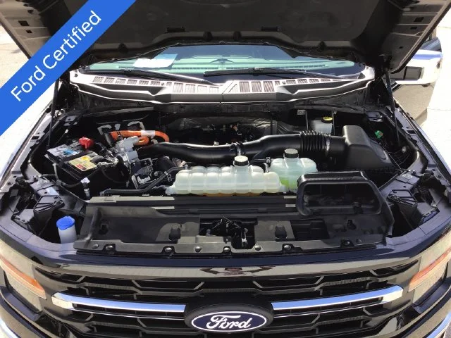 Certified Used 2024 Black Ford XLT image 23