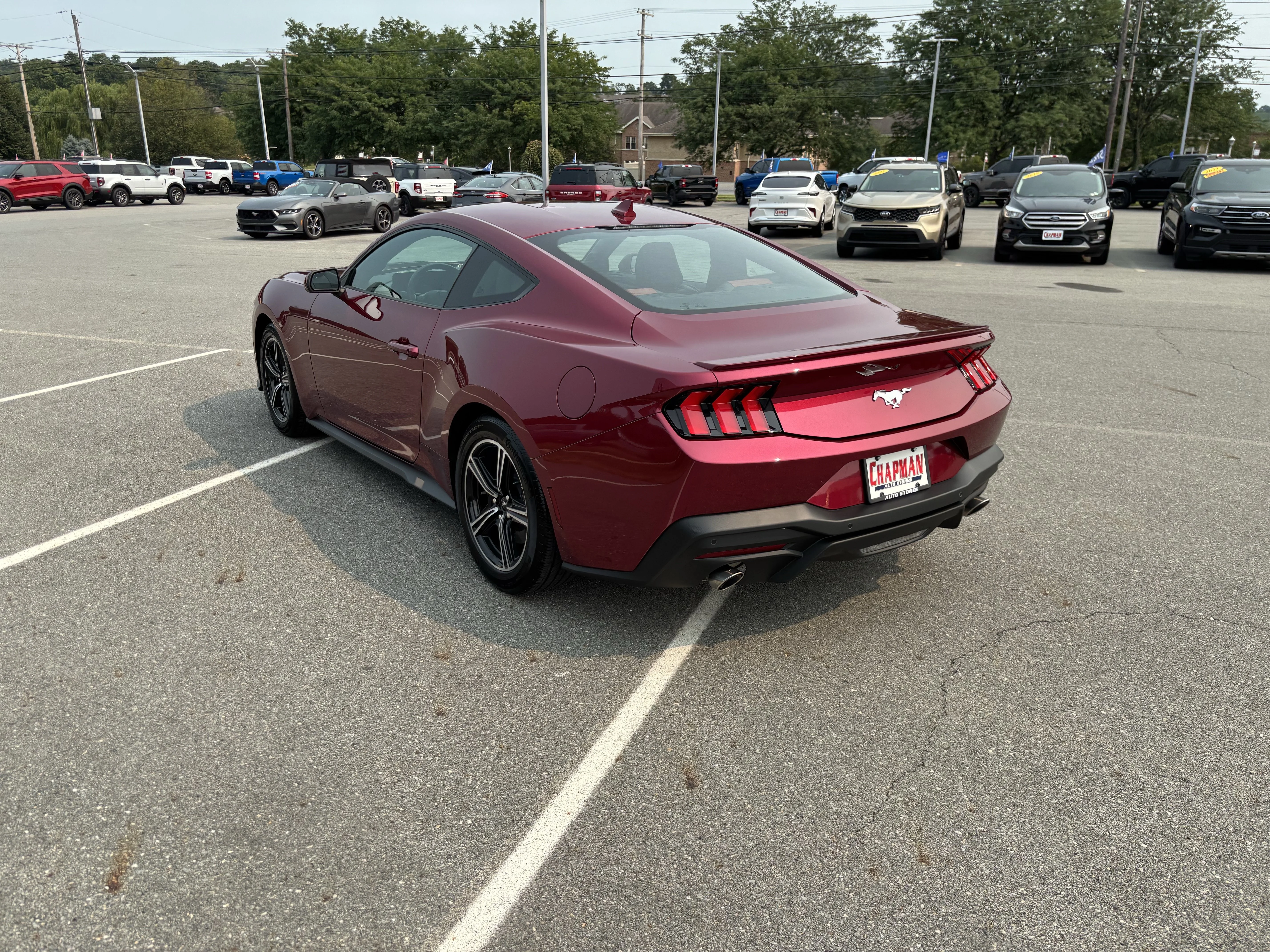 Used 2025 Magenta Ford EcoBoost Premium image 5