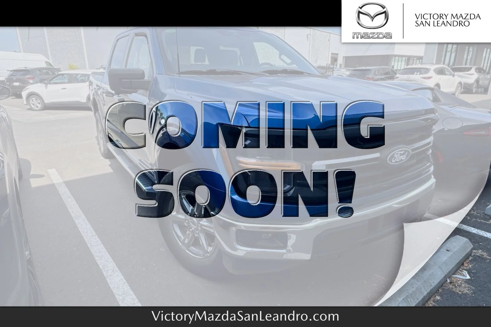 2024 Ford F-150 XLT 4x4 SuperCrew 5-1/2 Box's photo