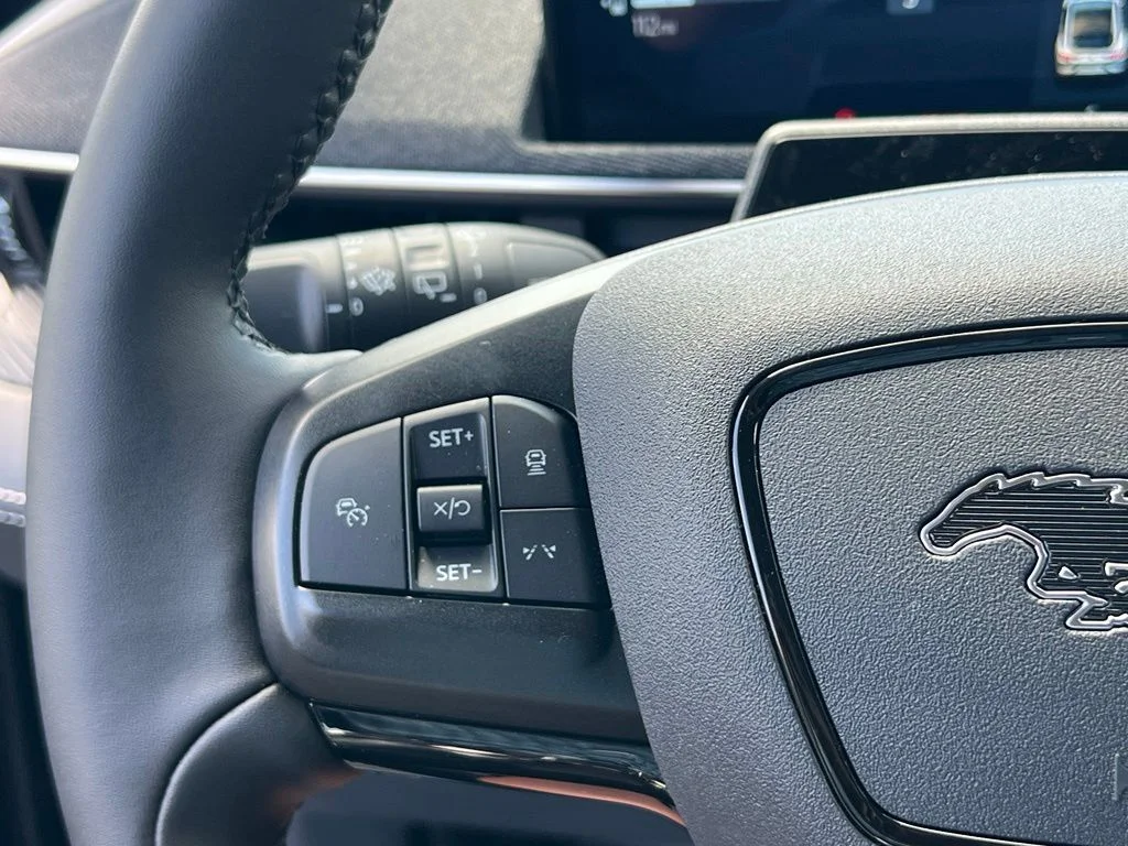 New 2026 Shadow Black Ford Premium image 20