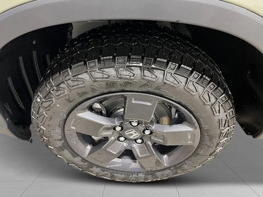 New 2026 Ash Green Metallic Honda TrailSport image 11