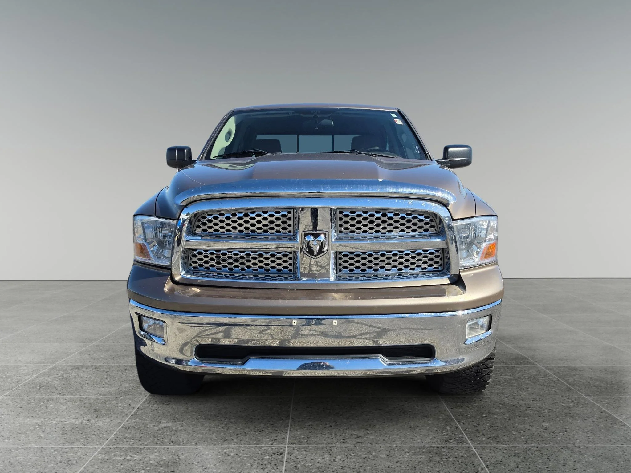 Used 2009 Austin Tan Pearlcoat Dodge SLT image 9