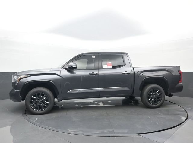 New 2026 Magnetic Gray Metallic Toyota Platinum image 22