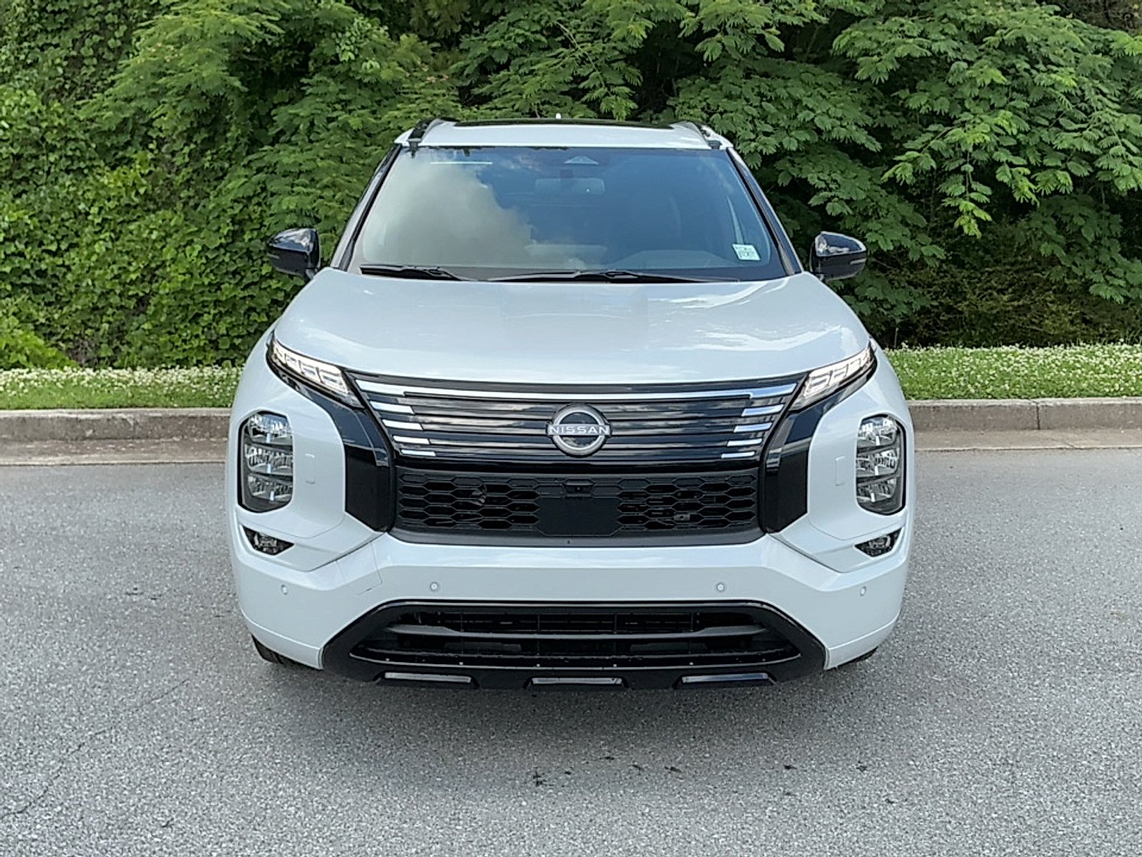 New 2026 Alpine Frost Nissan Platinum image 18