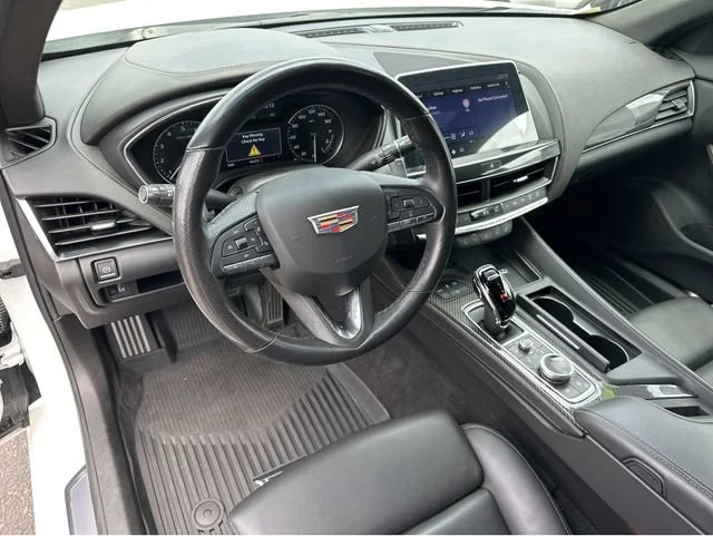 Photo 7