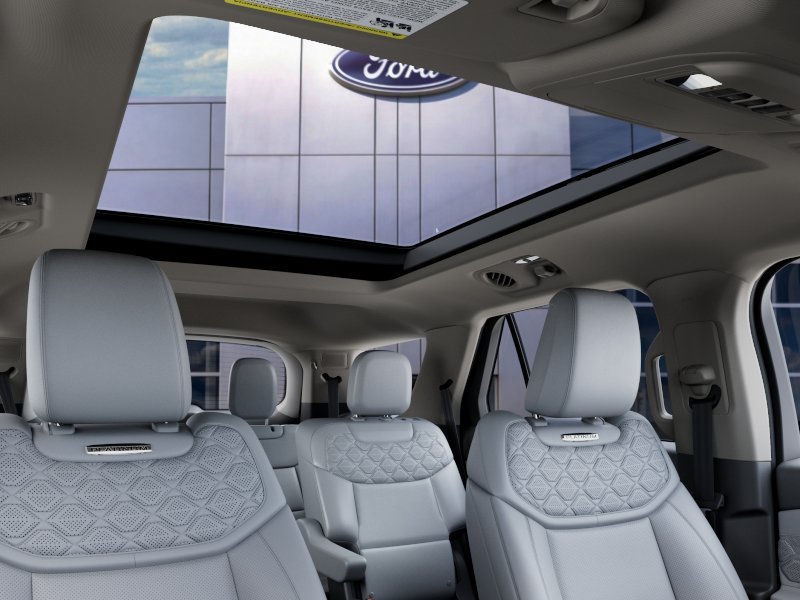 New 2027 Avalanche Gray Ford Platinum image 22