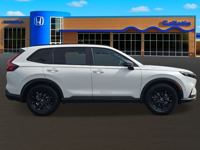 New 2026 Platinum White Pearl Honda Sport-L image 6