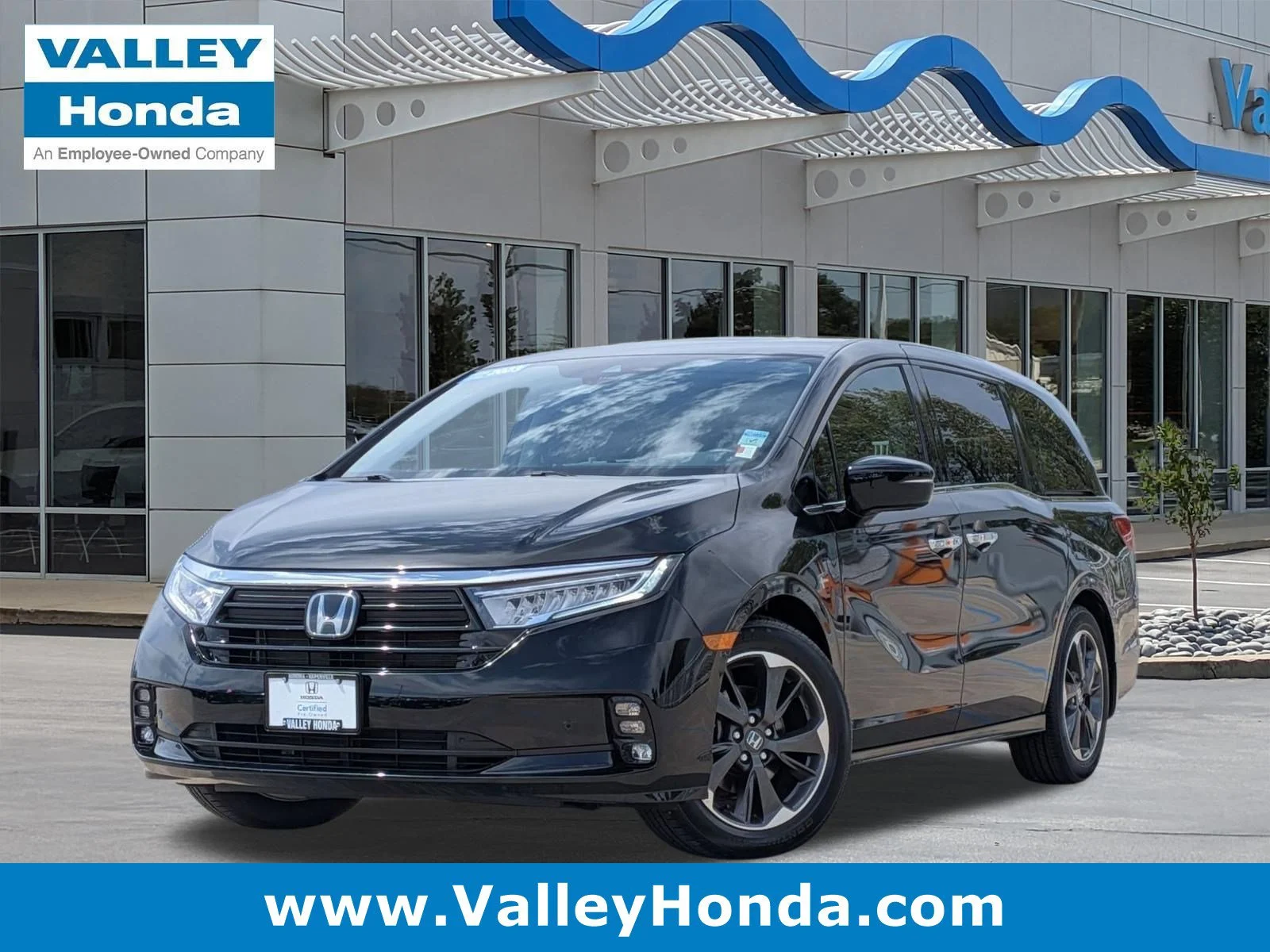 2023 Honda Odyssey Elite's photo