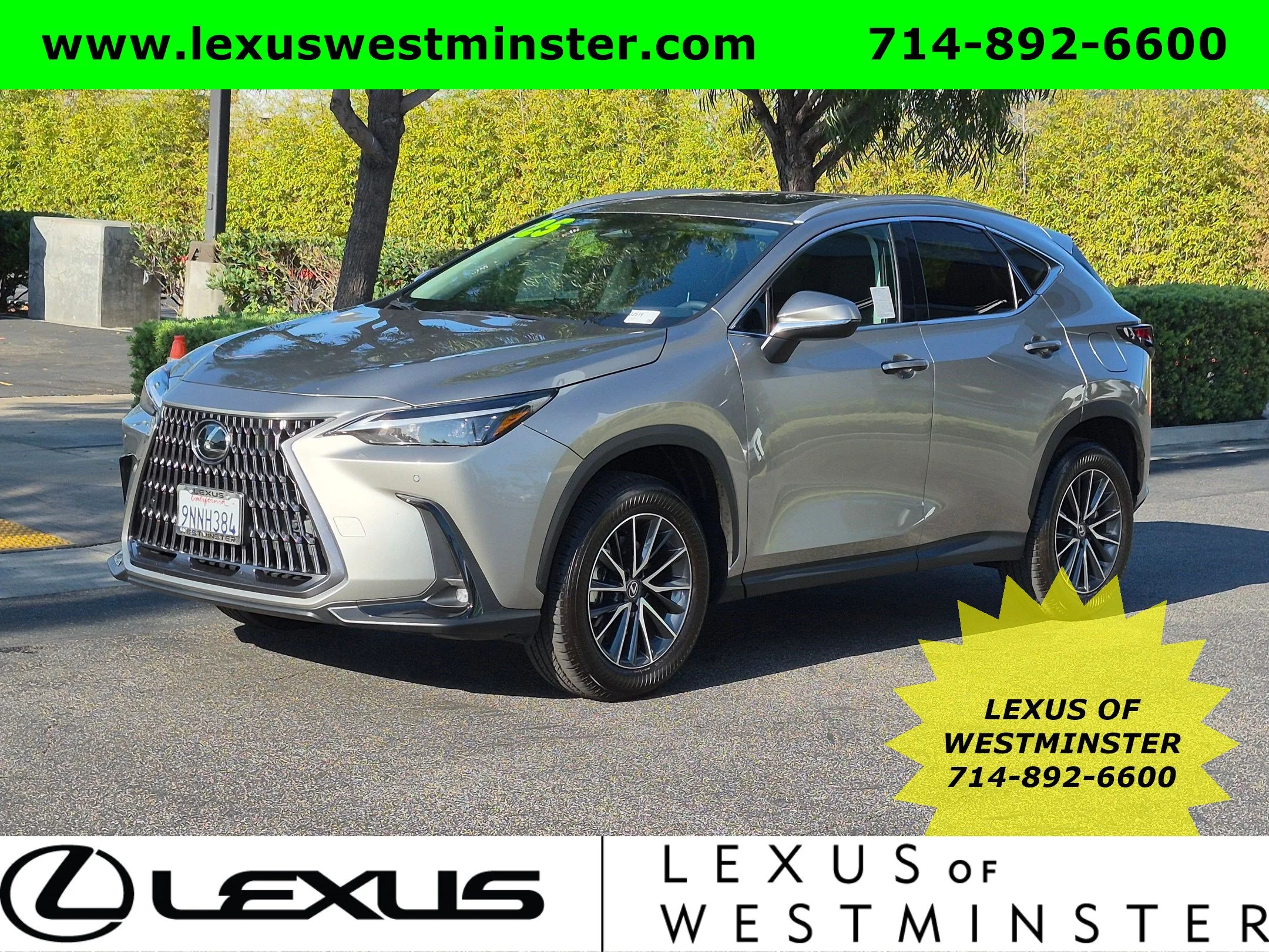 2025 Lexus NX