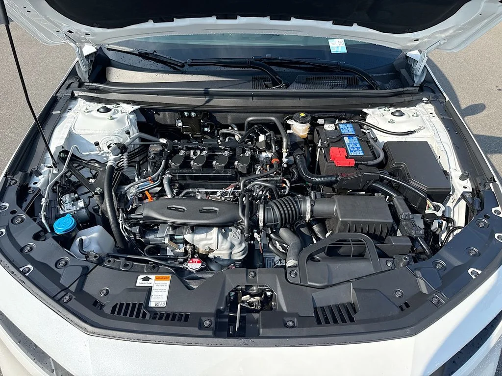 New 2026 Platinum White Pearl Honda LX image 30