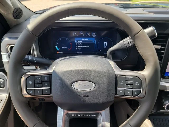 New 2026 Black Metallic Ford Platinum image 31