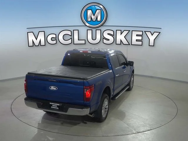 Used 2024 Blue Ford XLT image 6
