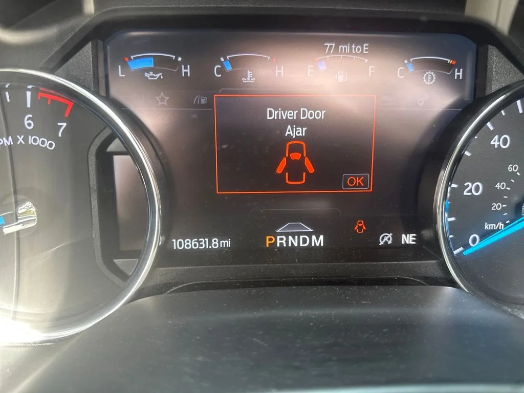 Used 2021 White Ford Platinum image 18