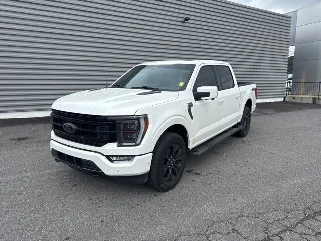 2023 Ford F-150 Platinum 4x4 SuperCrew 5-1/2 Box's photo