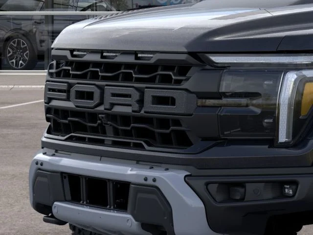 New 2025 Black Metallic Ford Raptor image 17