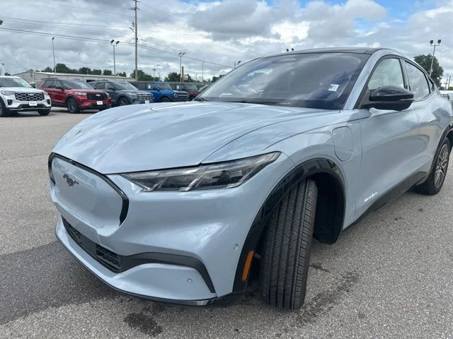 Used 2024 Glacier Gray Metallic Ford Premium image 30
