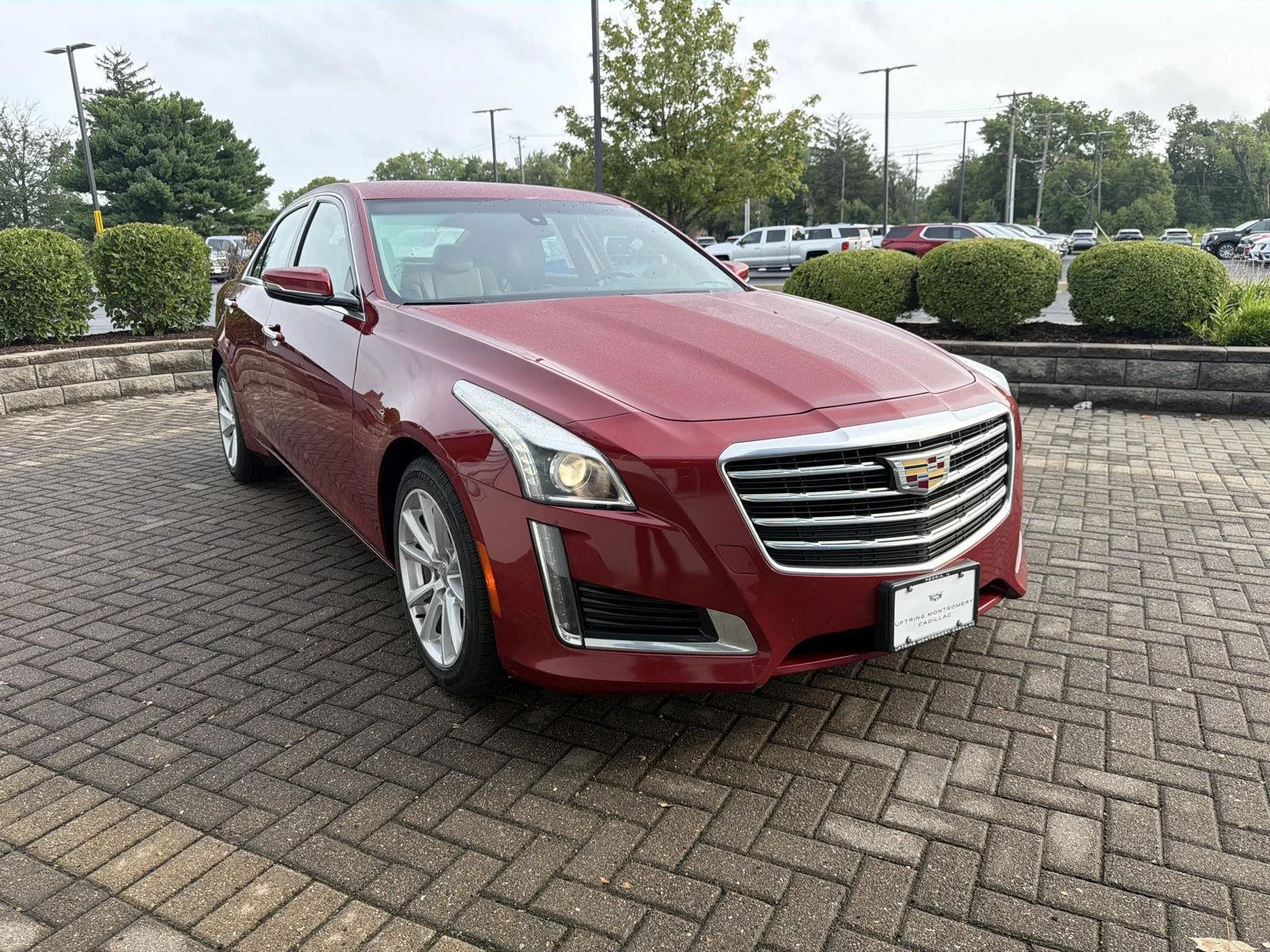 Used 2018 Red Obsession Tintcoat Cadillac AWD image 7