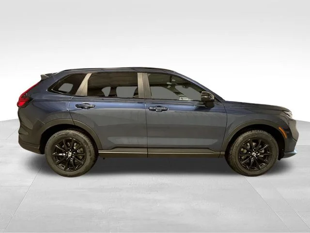 New 2026 Blue Honda Sport-L image 9