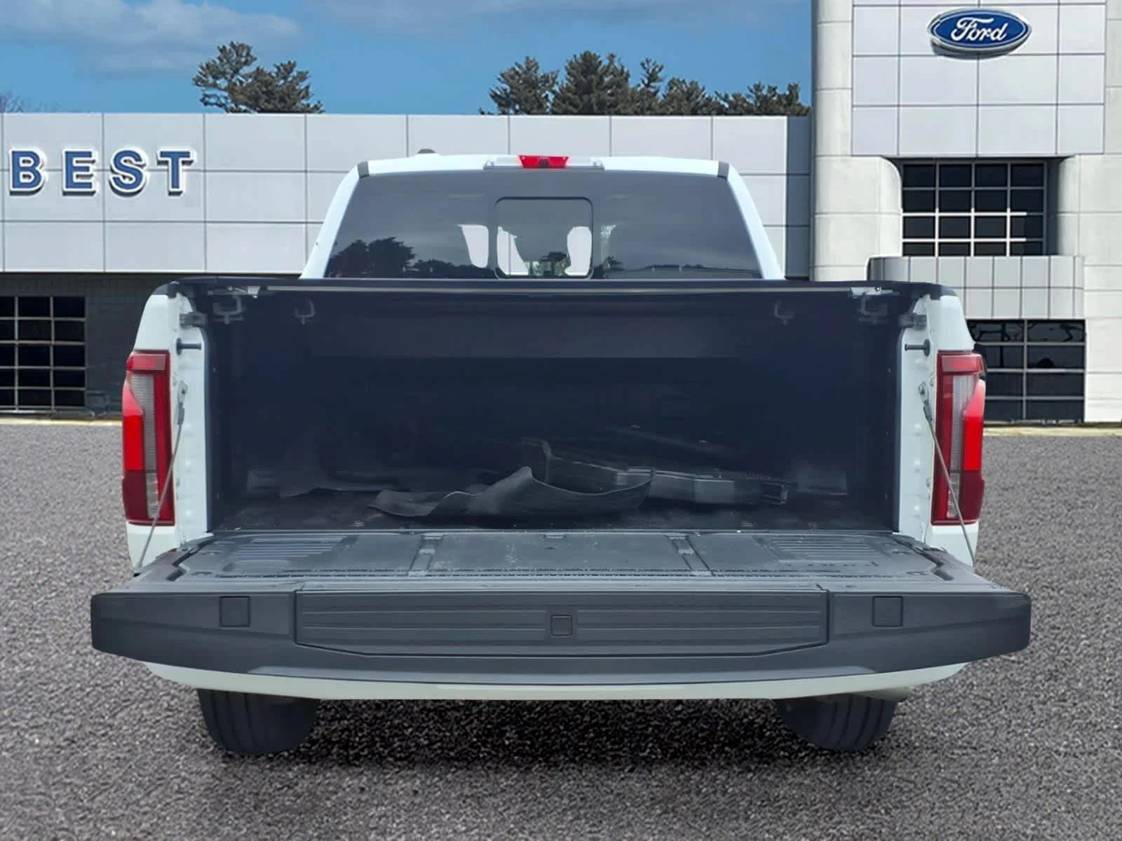 Used 2024 Star White Metallic Tri-Coat Ford Platinum image 6