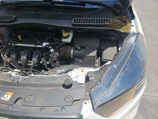Used 2019 White Ford S image 16