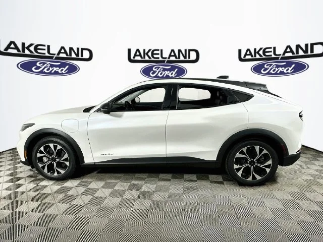 New 2026 White Ford Select image 6
