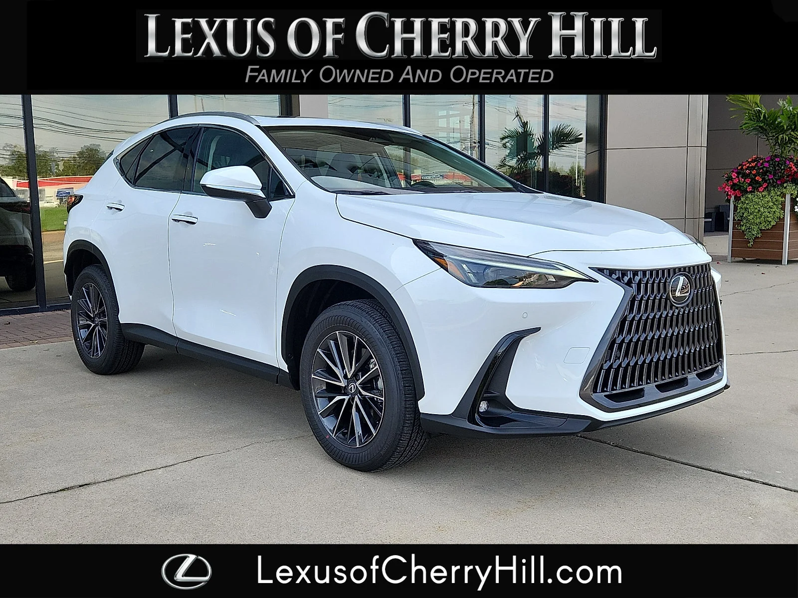 2026 Lexus NX