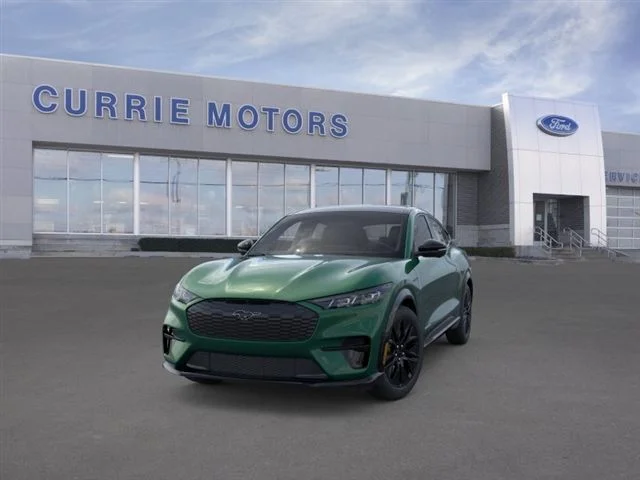 New 2026 Eruption Green Metallic Ford Premium image 24