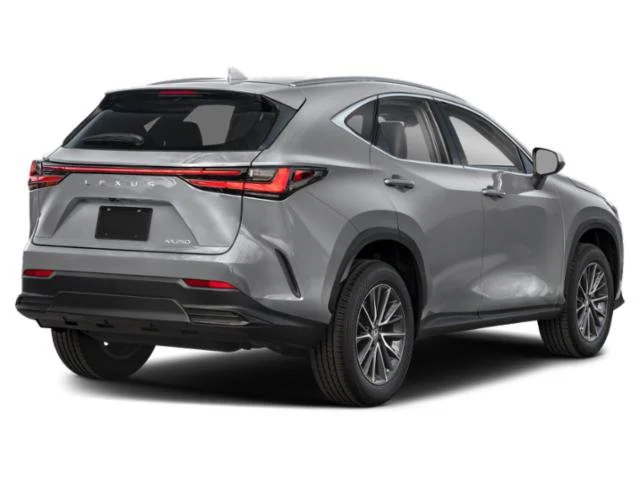 Certified Used 2025 Cloudburst Gray Lexus 250 image 2