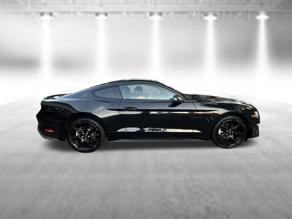 Certified Used 2019 Shadow Black Ford EcoBoost Premium image 3