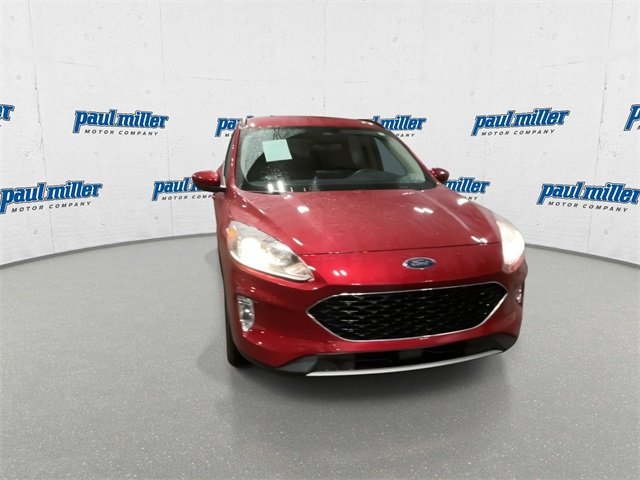 2020 Ford Escape SEL photo 3