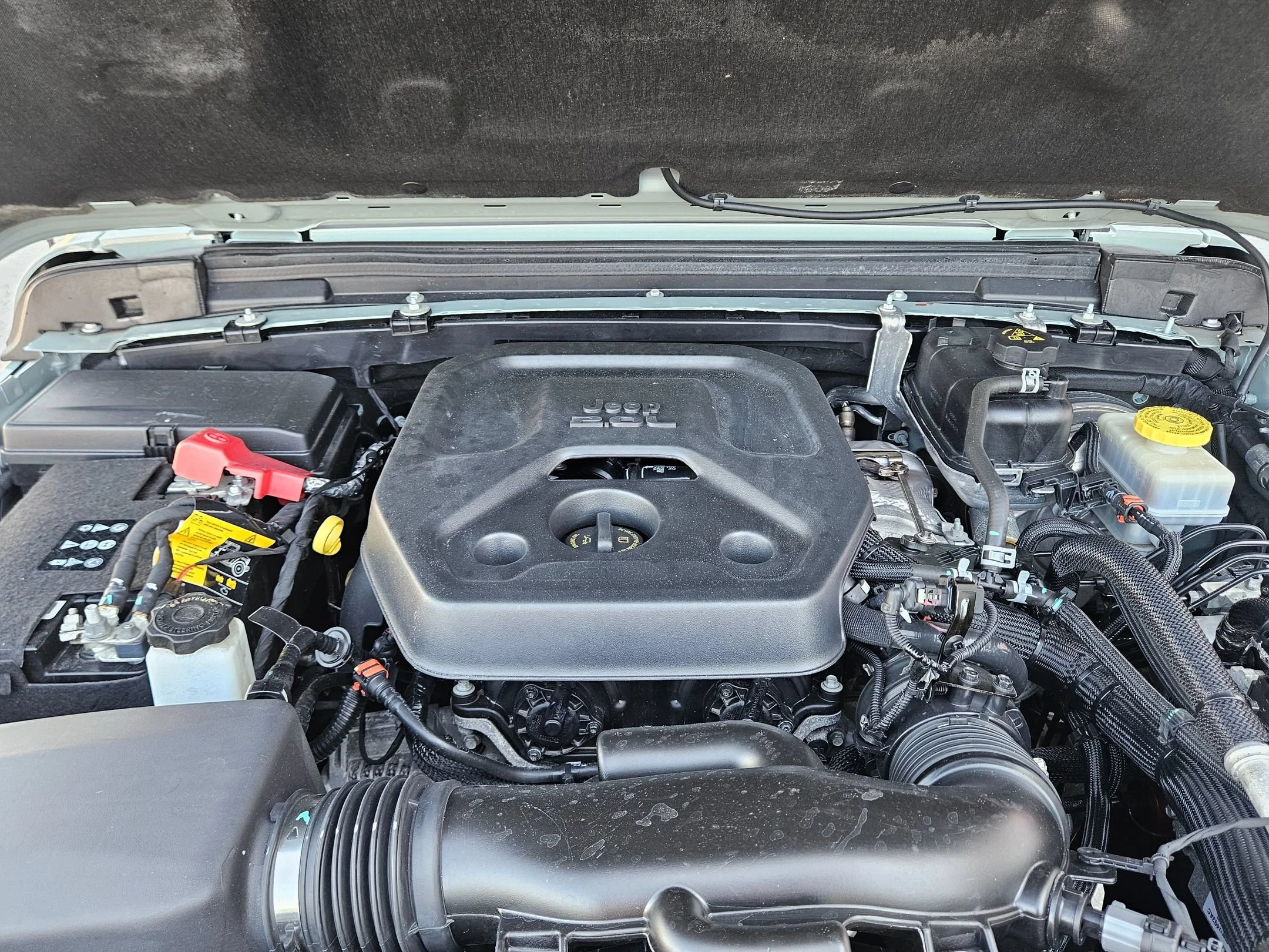 Used 2023 Earl Clearcoat Jeep Rubicon image 29