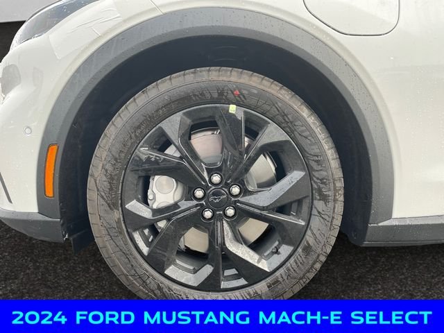 New 2024 White Ford Select image 14