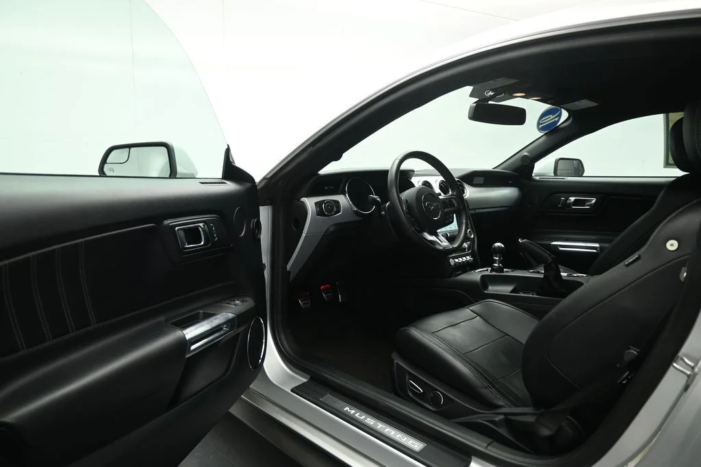 Used 2016 Silver Ford EcoBoost Premium image 8