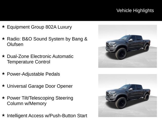 Used 2020 Magnetic Ford Raptor image 5