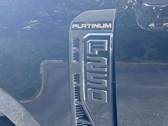 New 2026 Black Ford Platinum image 9